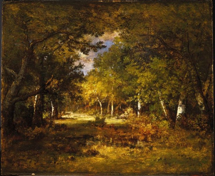 Forest Scene