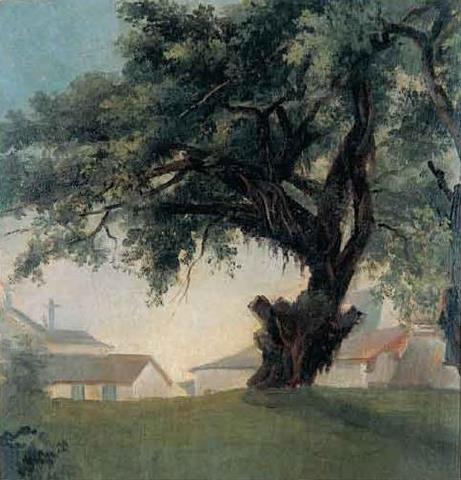 Giant tree and barracks