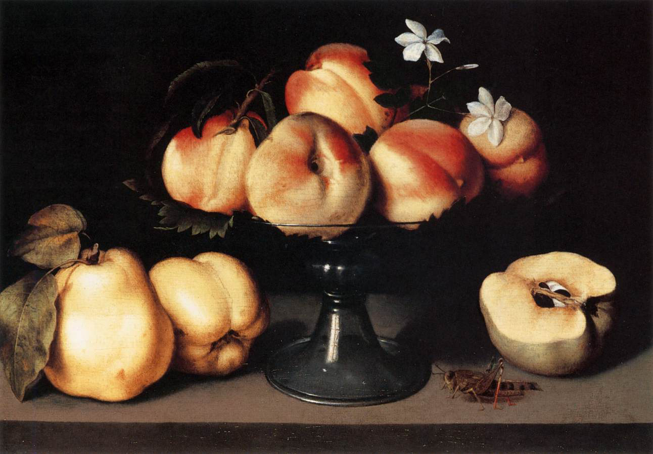 Still-Life