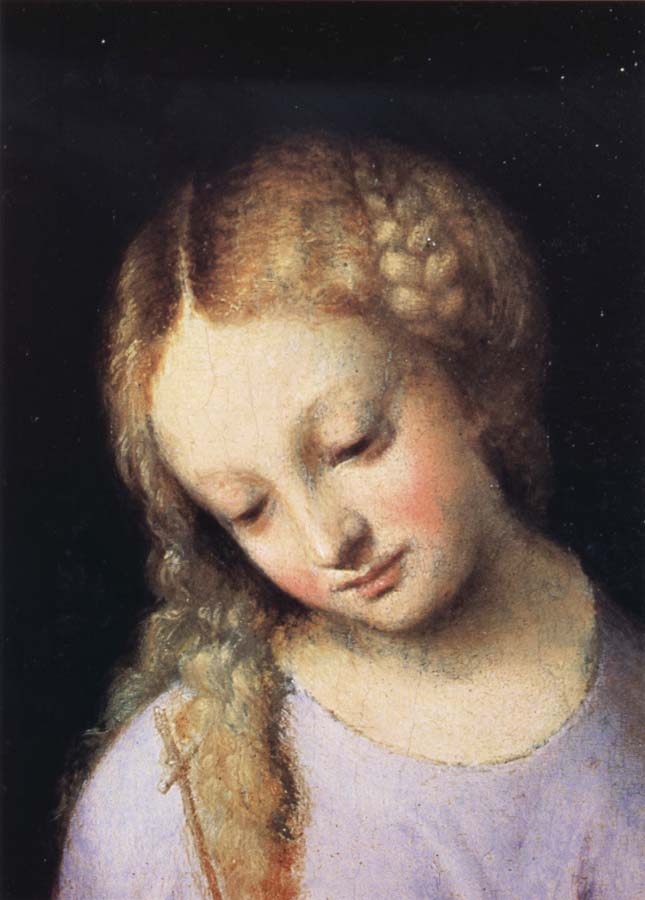 Details of Madonna and Child with the Young Saint John