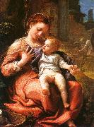 Correggio Madonna della Cesta, oil on canvas