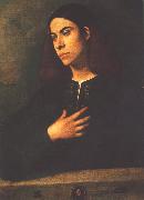 Giorgione Portrait of a Youth (Antonio Broccardo) dsdg china oil painting reproduction