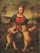 Raphael Madonna of the Goldfinch oil on canvas