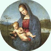 Conestabile Madonna Raphael