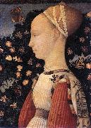 Portrait of a Princess of the House of Este  vhh PISANELLO