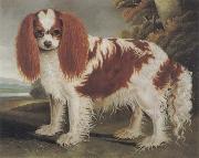 J.L.Clark King Charles Spaniel II oil