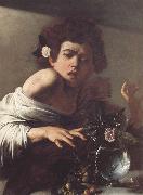 Caravaggio Boy Bitten by a Lizard oil painting picture wholesale