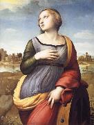 Raphael Saint Catherine of Alexandria china oil painting reproduction