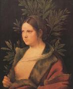 Giorgione Laura (MK45) china oil painting reproduction