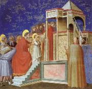 Giotto Presentation of the VIrgin ar the Temple china oil painting reproduction