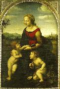 Raphael virgin and child wild st. oil on canvas