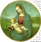 Raphael madonna conestabile oil on canvas