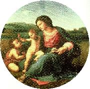 Raphael alba  madonna oil on canvas