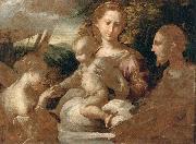 PARMIGIANINO The Mystic Marriage of St Catherine oil painting picture wholesale