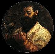 Titian St Mark oil painting picture wholesale