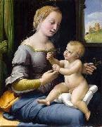 Raphael Madonna dei garofani oil on canvas