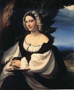 Correggio Portrait of a Gentlewoman china oil painting reproduction