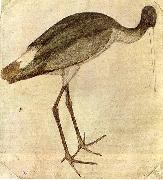 PISANELLO Stork china oil painting reproduction