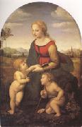 La Belle Jandiniere (mk05) Raphael