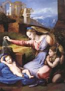 Raphael The Virgin with the Veil (mk05) china oil painting reproduction