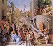 Pontormo Joseph in Egypt china oil painting reproduction