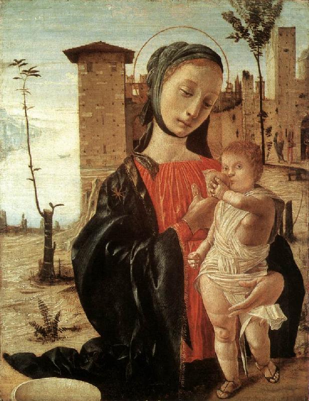 Madonna del Latte fgdf, BRAMANTINO