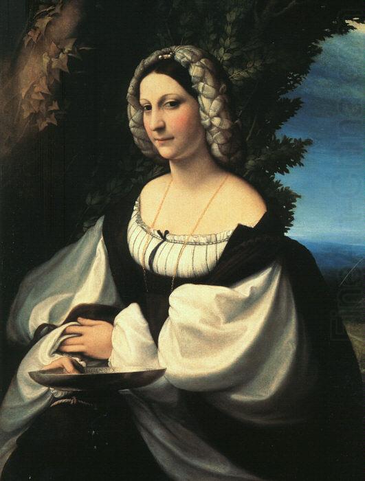 Portrait of a Gentlewoman, Correggio