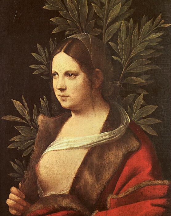 Laura, Giorgione