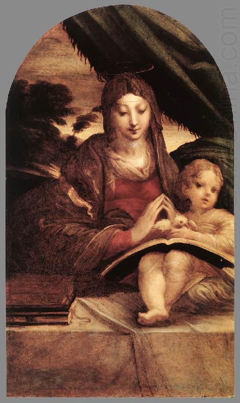 Madonna and Child sg, PARMIGIANINO