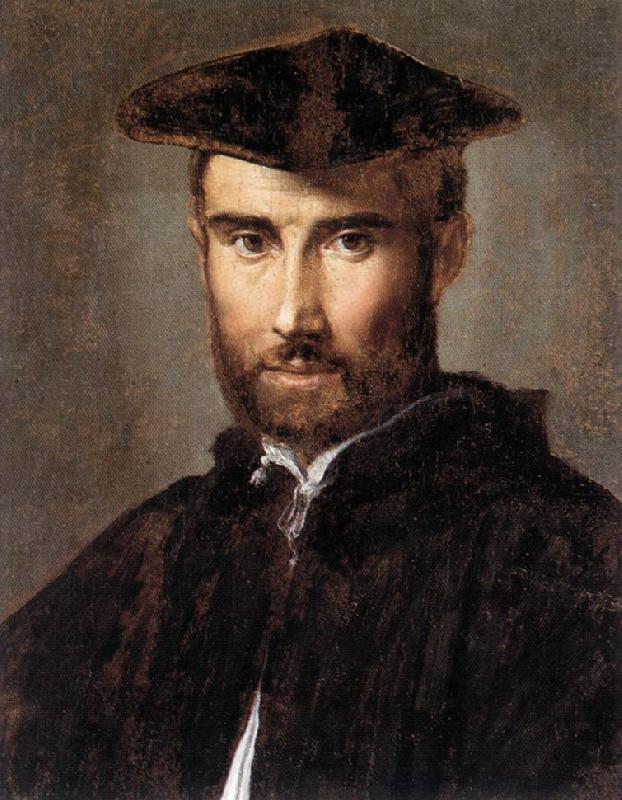 Portrait of a Man ag, PARMIGIANINO