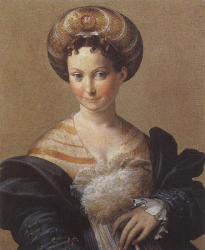 Turkish Slave, PARMIGIANINO