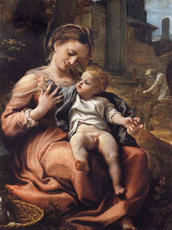 The Madonna of the Basket, Correggio