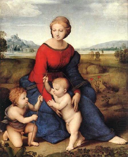 Madonna of Belvedere, Raffaello