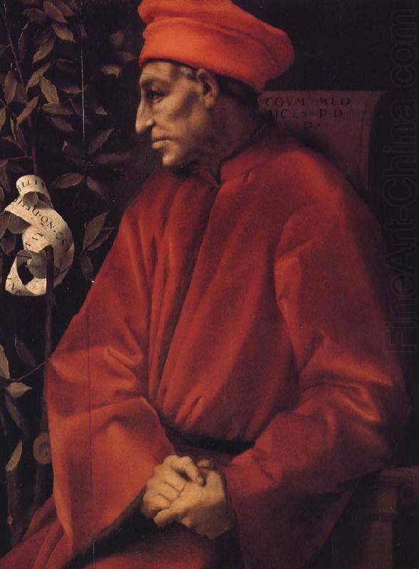 Old Cosimo, Pontormo