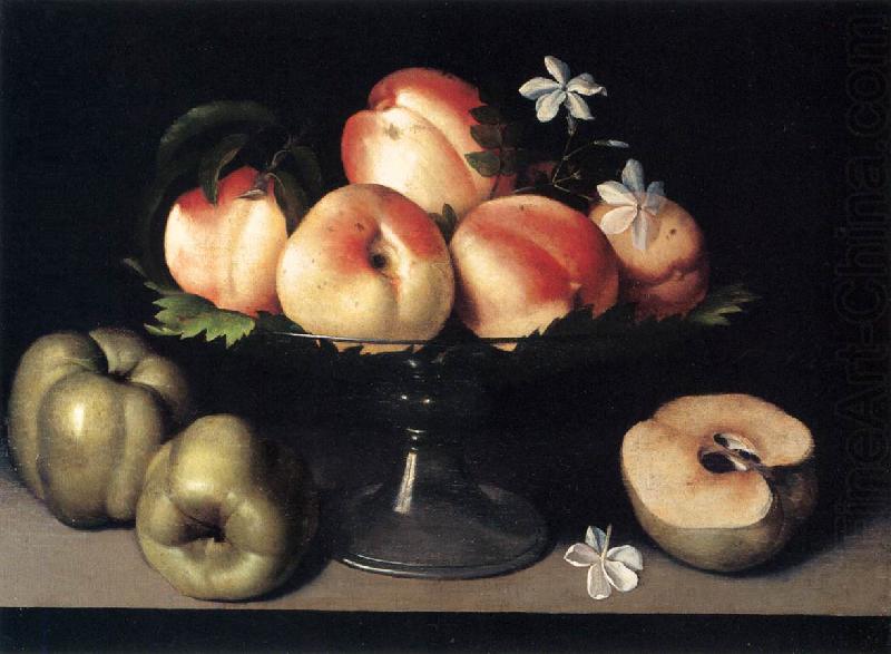 Still-Life, Galizia,Fede