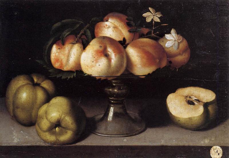 Still-Life, Galizia,Fede