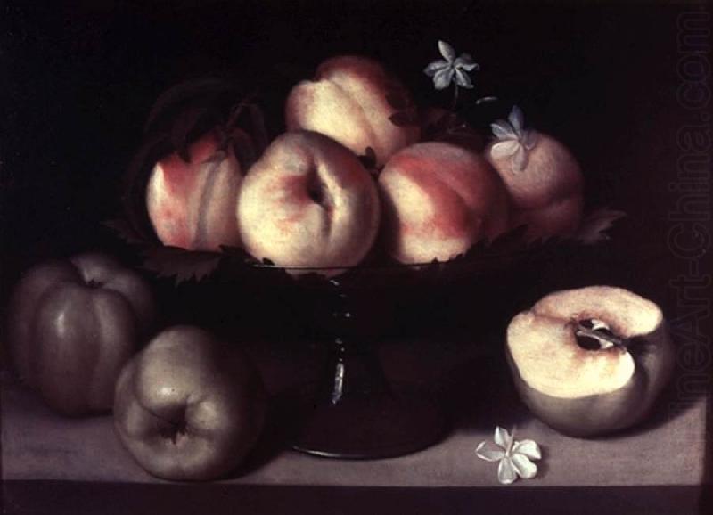 Still-Life, Galizia,Fede