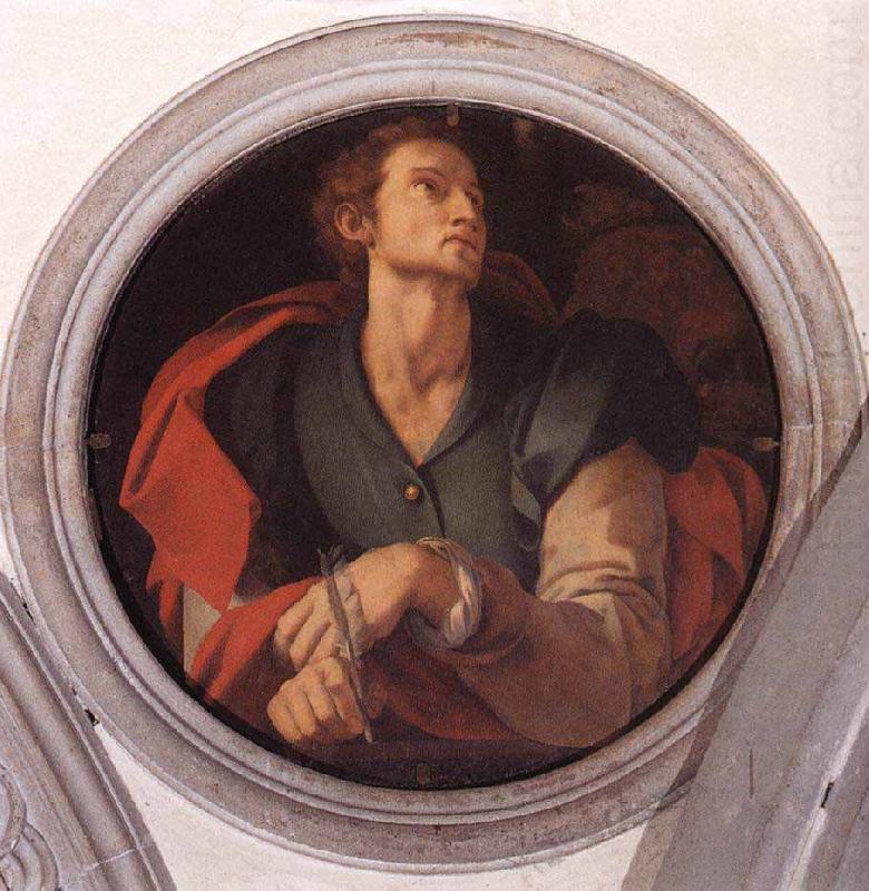 St Luke, Pontormo