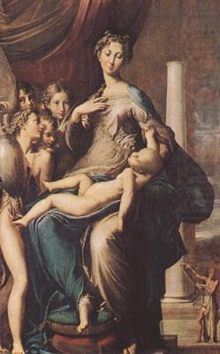 Madonna of t he Long Neck (mk08), PARMIGIANINO